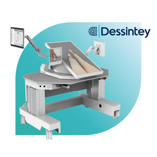 IVS4 Dessintey