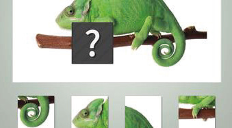 exercises Cognition Board neofect
